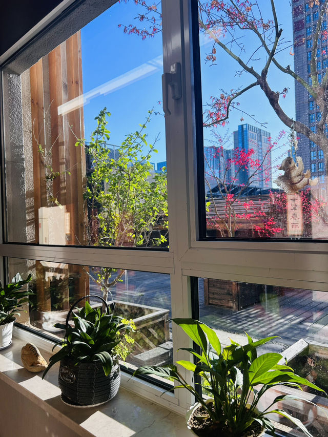來大連住花園酒店酒店「大象抱朴酒店」
