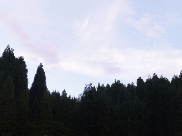 19℃嘅森林拒絕冷氣：武陵山森林公園