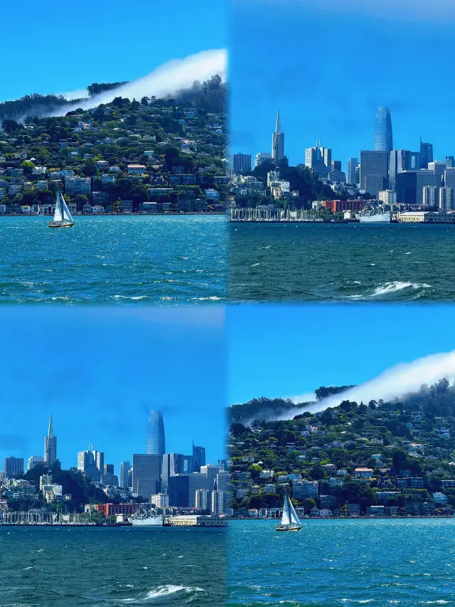 "San Francisco Pitfall Guide: 90% of People Fall for These Mistakes"