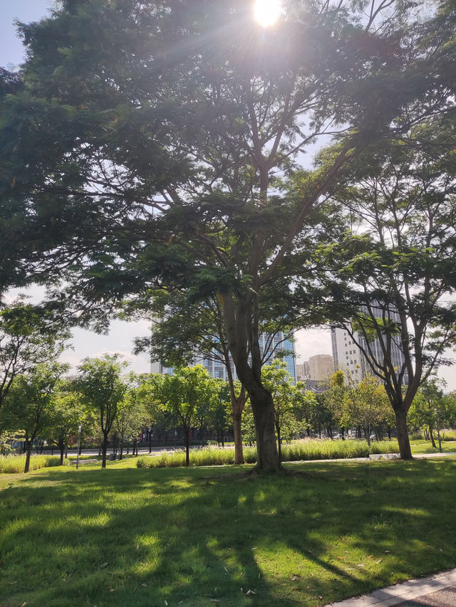 《深圳西岸慢生活，蔚徕酒店裡的治癒時光》