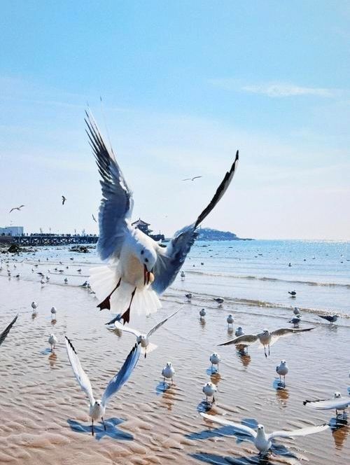 驚艷青島魅力，海濱城市，值得打卡！