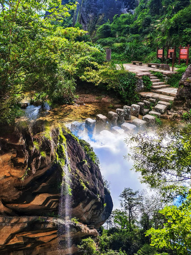 何處丹山映碧水,茶香漫過第幾重峰巒? 何處丹山映碧水,茶香漫過第幾重峰巒?