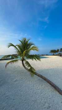 Paradise Found at The St. Regis Maldives