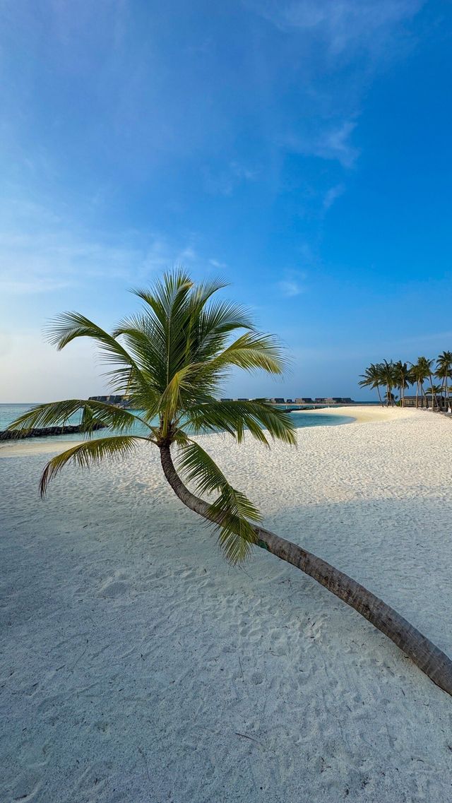 Paradise Found at The St. Regis Maldives