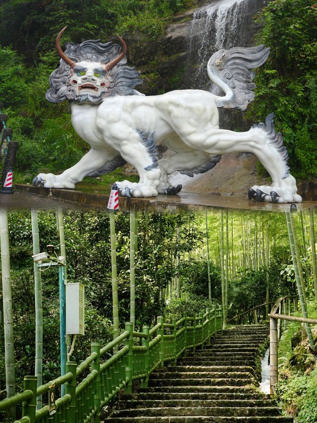 桂林貓兒山窩囊漂在這個夏天實現躺贏