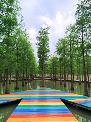 Lost in the Land of Oz: Hongze Lake Wetland, Sihong, Jiangsu