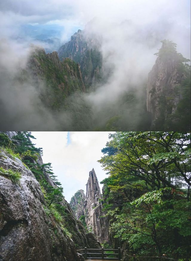 總結篇｜分享國慶來黃山旅行的注意事項