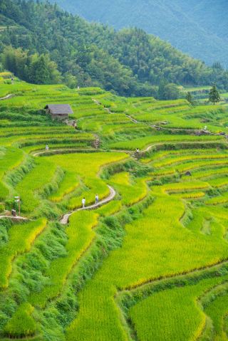 Hidden in the folds of Lishui’s mountains and waters is a place for a “reverse journey”