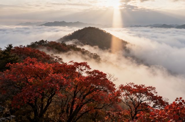 井岡山秋遊碎碎唸：紅土地的秋天比想像中好睇得多