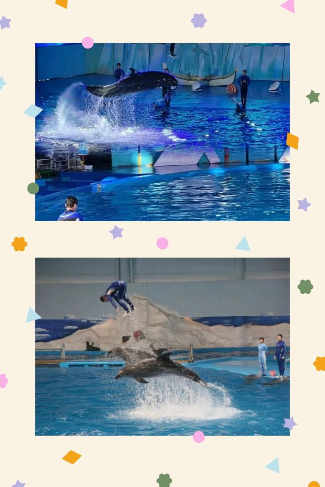 深藍幻境:青島海洋極地世界的治癒之旅 深藍幻境:青島海洋極地世界的治癒之旅
