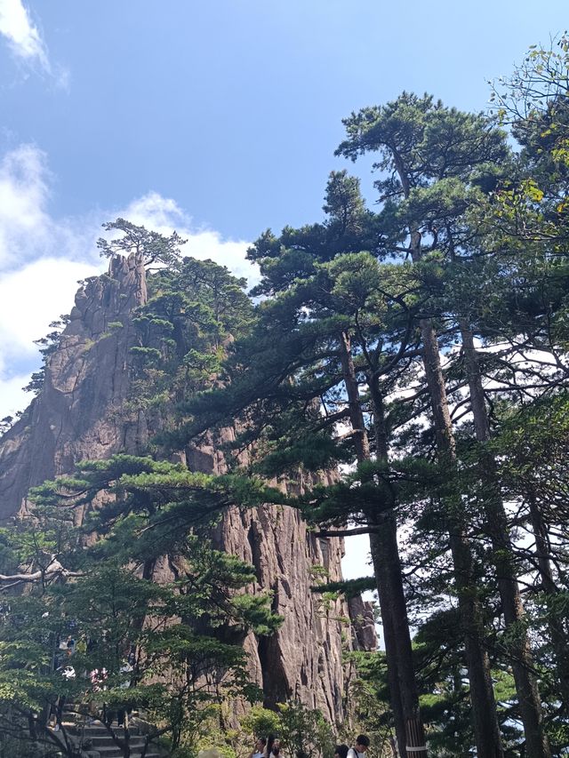 自然奇觀等你探尋---黃山