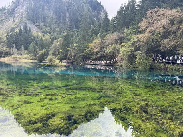 坐標西安，十一帶父母四川遊（第一篇）