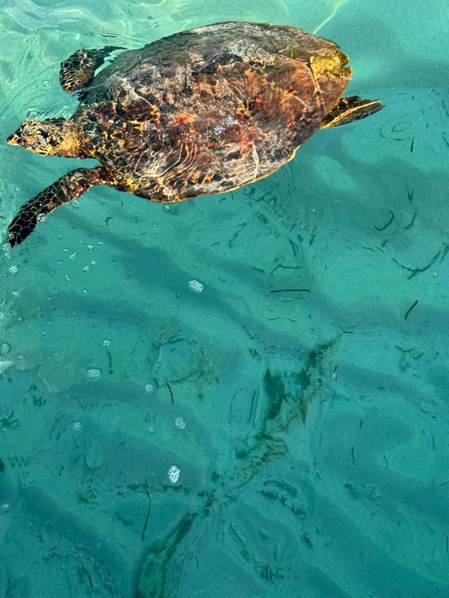 Stunning Island Experience Stunning Island Experience