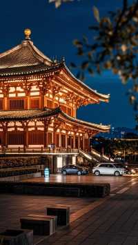 岳陽4天精華遊攻略