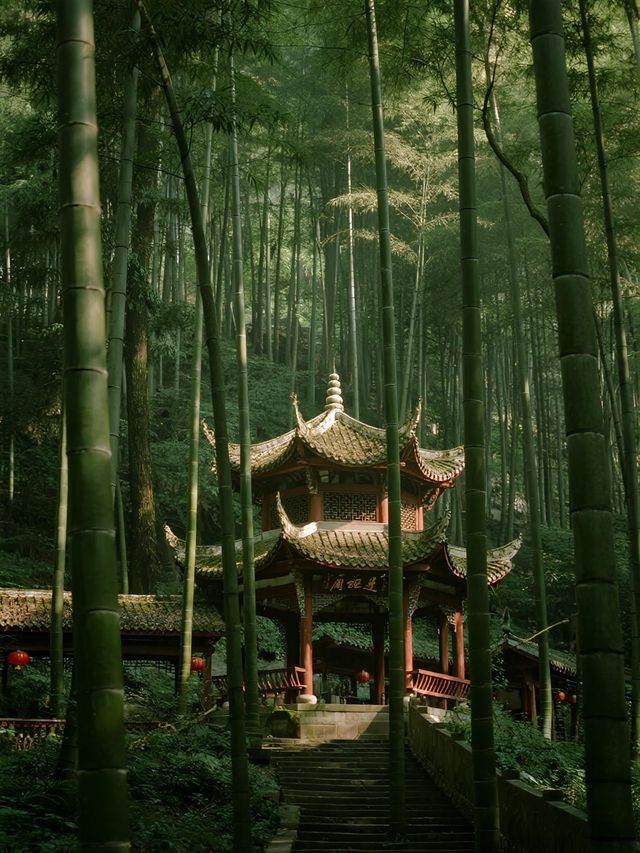 畢棚溝的秋天是打翻的調色盤！彩林雪山美成壁紙
