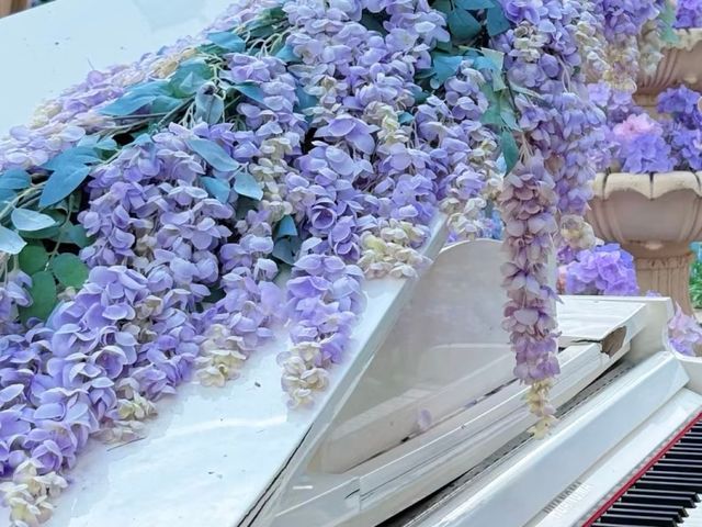 晴天約會好去處