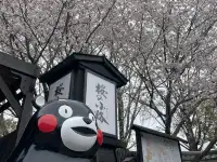 櫻花難民在九州找到了驚喜