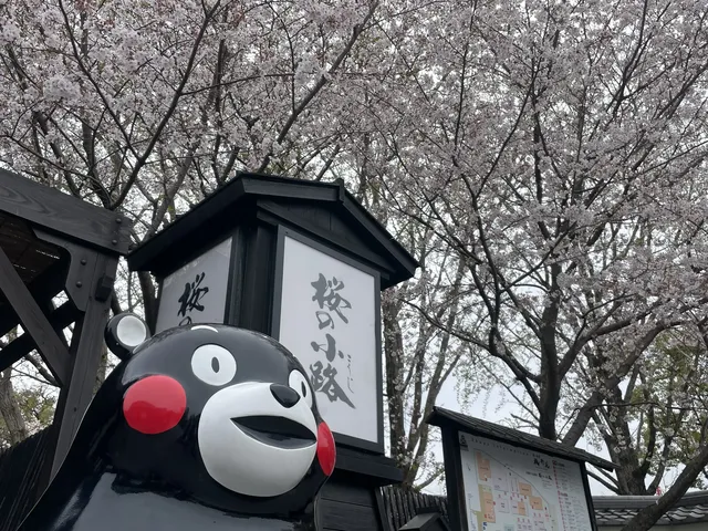 櫻花難民在九州找到了驚喜