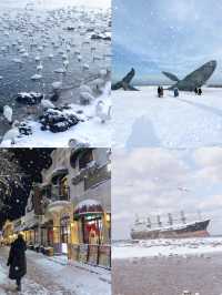 七日赴雪約：煙台與威海的冬日私語