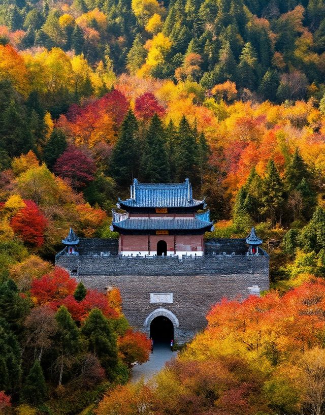 秋日賞楓絕佳秘境|10月中旬至11月中旬是賞秋黃金期