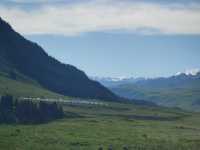 新疆唐布拉十里畫廊｜房車露營+草原治癒之旅