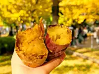 中島公園「札幌烤紅薯露台 2025」