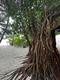 Escape to Adaaran Prestige Vadoo for Romance and Privacy