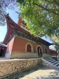 千年皇家廟宇美哭你岱廟