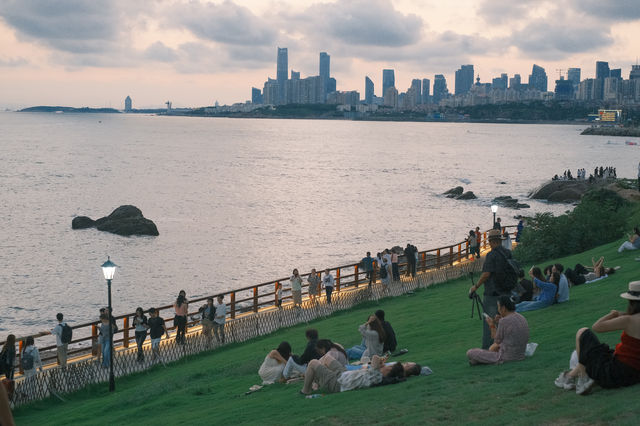 【青島小麥島】闖入宮崎駿的夏天，與海風和一棵樹獨處