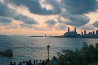 【青島小麥島】闖入宮崎駿的夏天，與海風和一棵樹獨處