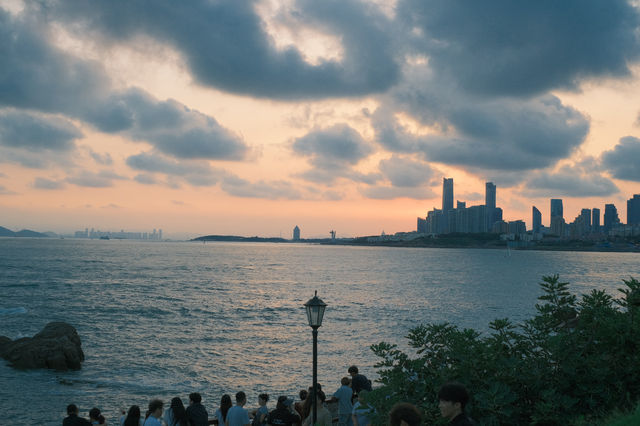 【青島小麥島】闖入宮崎駿的夏天，與海風和一棵樹獨處