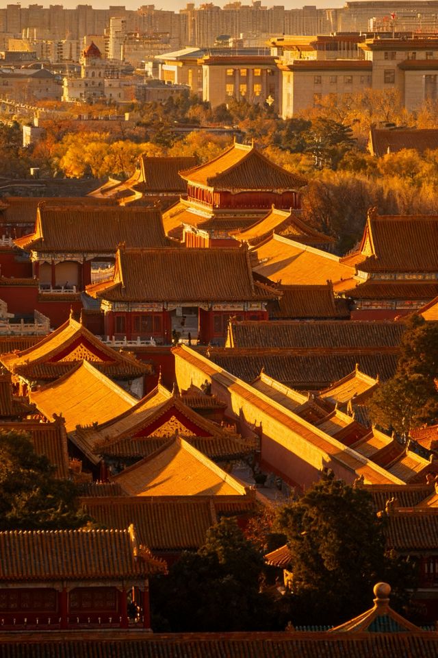 北京的秋天是中式美學的巔峰之作！！