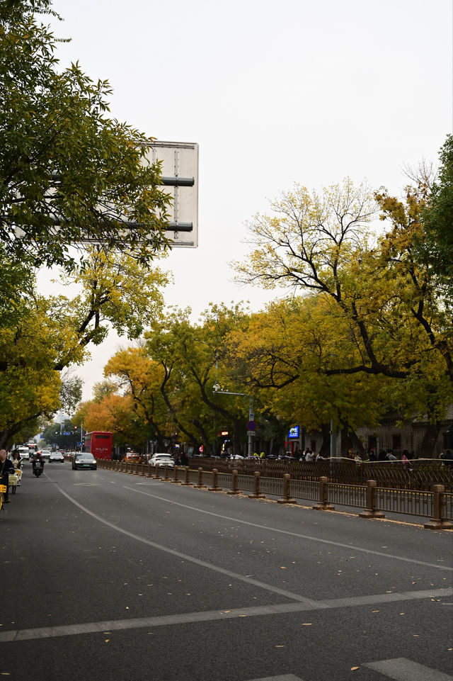 五四大街的黃與紅 五四大街的黃與紅