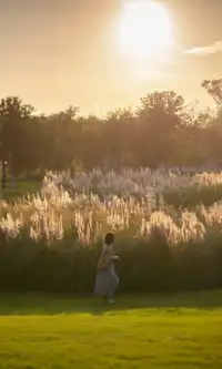 10.17上海小眾粉黛公園沒想到這麼美!!