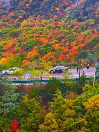 2 Hours from Xi'an to Explore the Autumn Secret Realm of the Loess Plateau