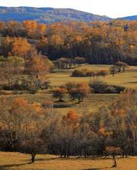 河北私藏!張北壩上3天2夜攻略,解鎖草原自由與避坑指南