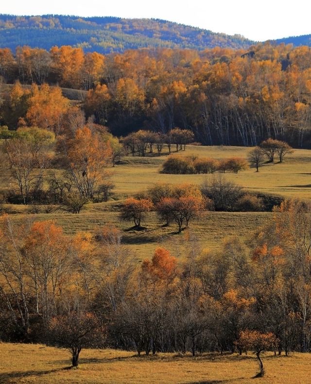 河北私藏!張北壩上3天2夜攻略,解鎖草原自由與避坑指南 河北私藏!張北壩上3天2夜攻略,解鎖草原自由與避坑指南