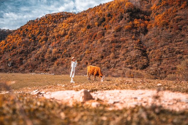 絕了！藏在邯鄲的七彩秋色仙境三條路線任你選