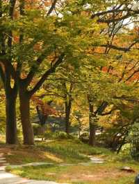 崂山北九水一日遊！保姆級路線收好