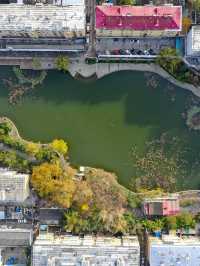 濟南-淄博3日遊不踩雷攻略來啦