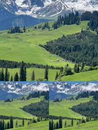 逃離城市!恰西草原「野生仙女」生存指南