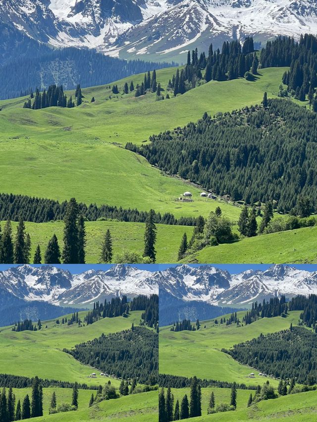 逃離城市!恰西草原「野生仙女」生存指南 逃離城市!恰西草原「野生仙女」生存指南