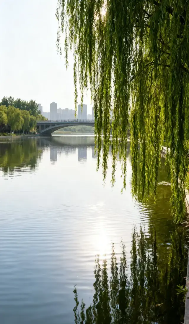 Heze 3 Days 2 Nights Leisure Travel Plan｜Unlock the Fragrance and Ancient Charm of the Peony Capital