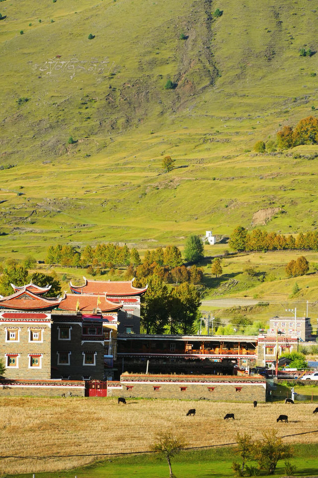 日落剪影絕美打卡點 日落剪影絕美打卡點