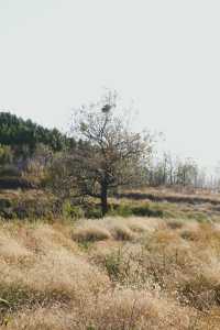 秘境湖景徒步勝地