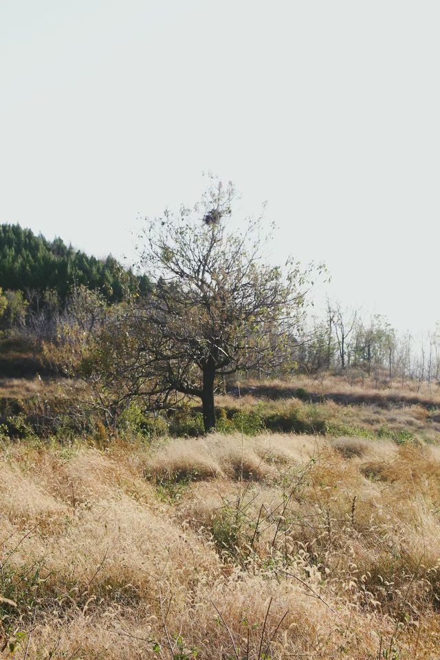 秘境湖景徒步勝地 秘境湖景徒步勝地
