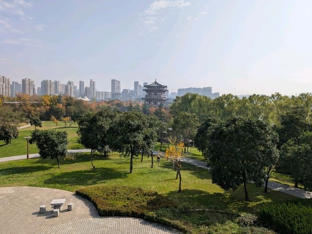 Tang Paradise: A Must-See Day & Night Experience in Xi'an