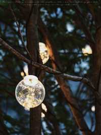 深圳這裡聖誕節氛圍已經開始濃了