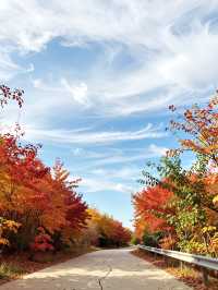 北京人絕不告訴你！私藏0元紅葉秘境曝光