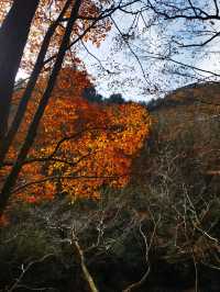 勉縣秋色的隱秘角落！雲霧山徒步解鎖神仙瀑布   必衝理由：  紅葉與瀑布的視覺暴擊！無人